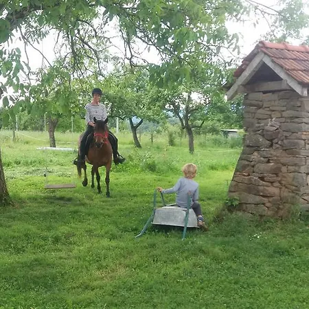 منزل ريفي Glogovac Kamenica (Gornji Milanovac)