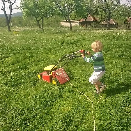 Glogovac Kamenica (Gornji Milanovac)