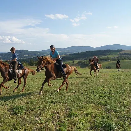 منزل ريفي Glogovac Kamenica (Gornji Milanovac)