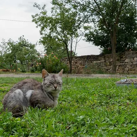 Glogovac בית כפרי Kamenica (Gornji Milanovac)