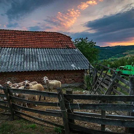 Glogovac منزل ريفي *