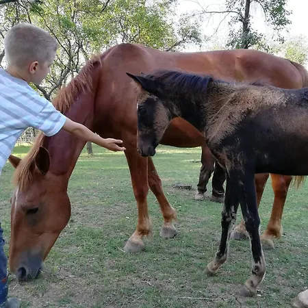 בית כפרי Glogovac