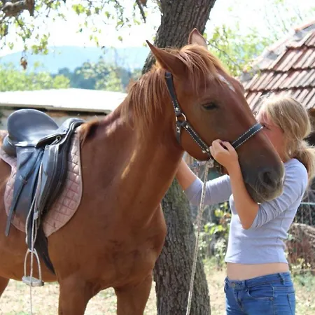 Glogovac * Kamenica (Gornji Milanovac)