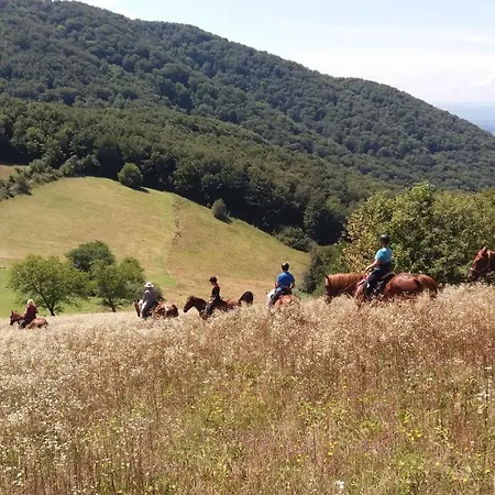 Glogovac בית כפרי Kamenica (Gornji Milanovac)