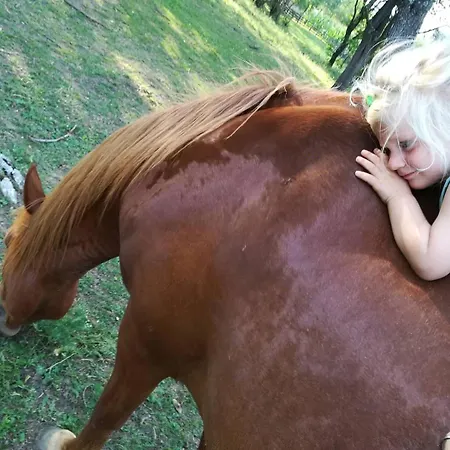 Glogovac Kamenica (Gornji Milanovac)