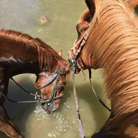 Glogovac בית כפרי *