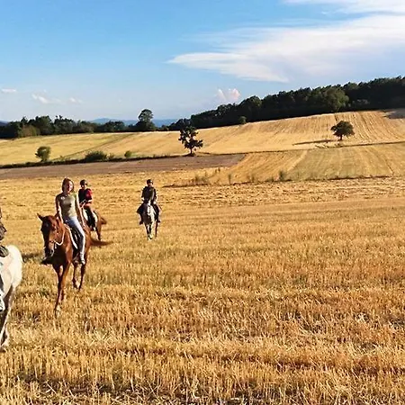 Glogovac בית כפרי Kamenica (Gornji Milanovac)