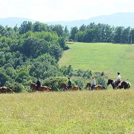Glogovac Kamenica (Gornji Milanovac)