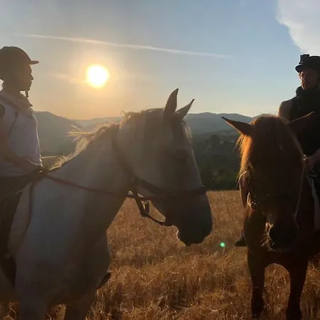 בית כפרי Glogovac