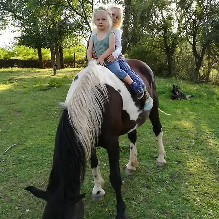 Glogovac منزل ريفي Kamenica (Gornji Milanovac)