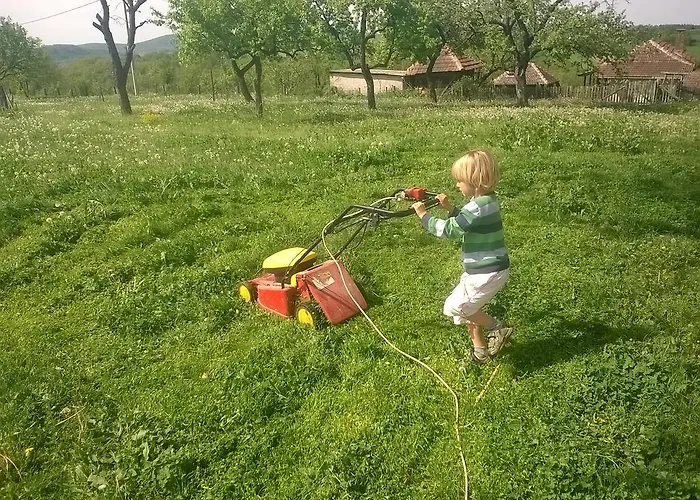 Glogovac Kamenica (Gornji Milanovac)