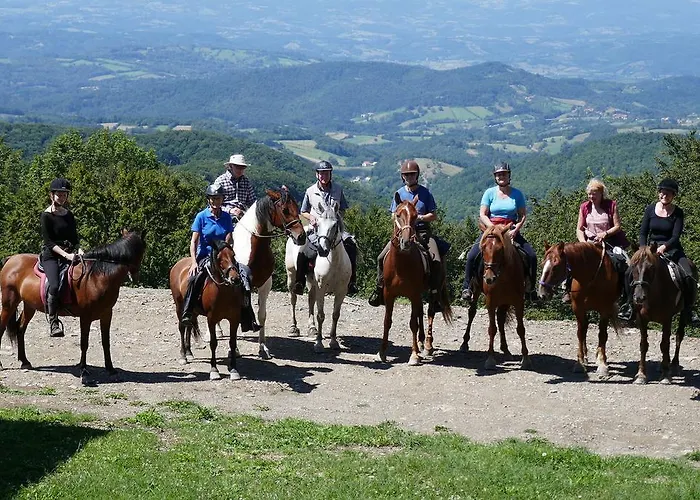 Venkovský dům Glogovac