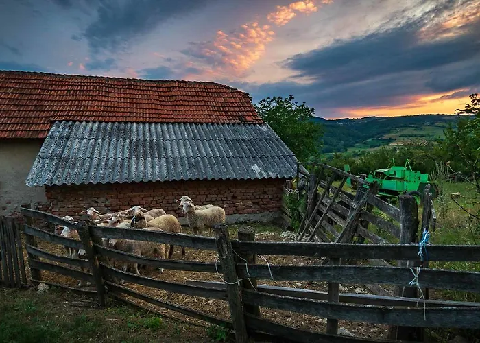 Glogovac Venkovský dům *