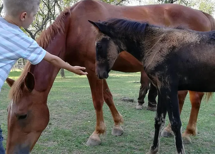 Venkovský dům Glogovac