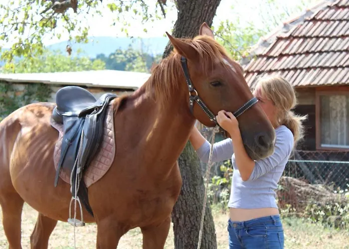 Glogovac * Kamenica (Gornji Milanovac)