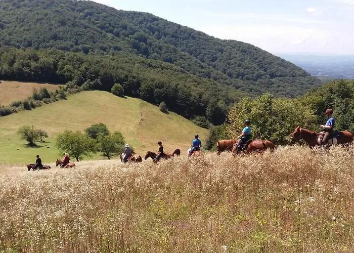 Glogovac Venkovský dům Kamenica (Gornji Milanovac)