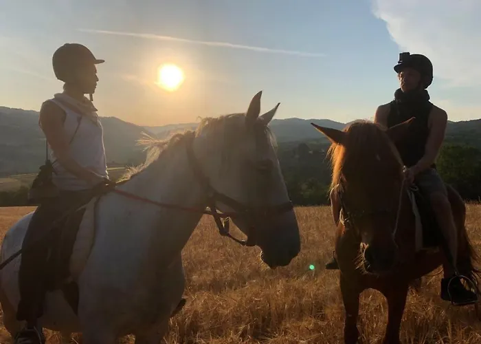 Venkovský dům Glogovac