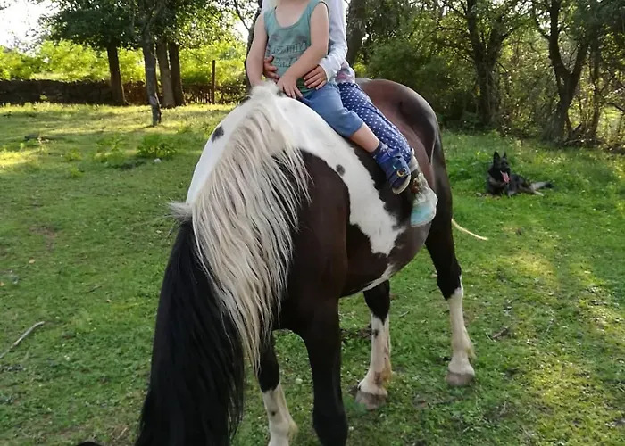 Glogovac Venkovský dům Kamenica (Gornji Milanovac)