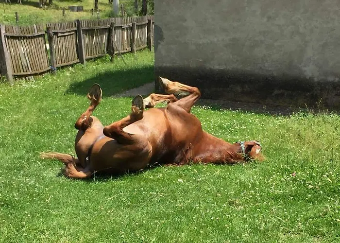 Glogovac Venkovský dům Kamenica (Gornji Milanovac)